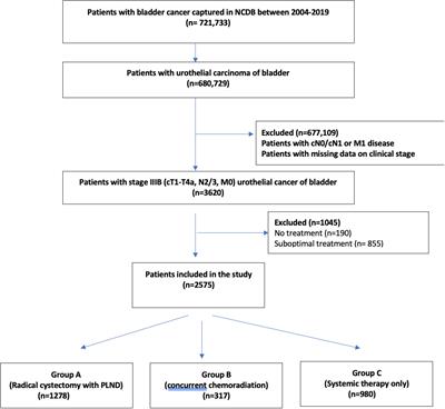 A comparative analysis of radical cystectomy with perioperative chemotherapy, chemoradiation therapy, or systemic therapy in patients with clinically advanced node-positive bladder cancer (cN2/N3)